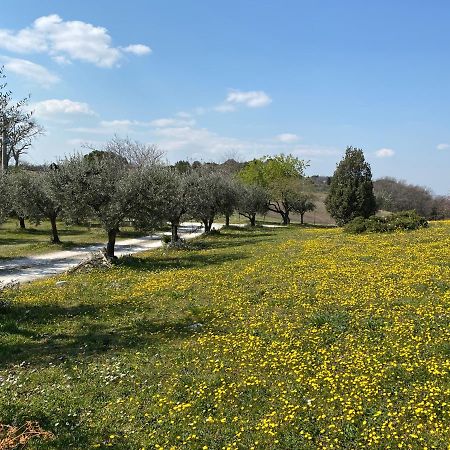 Bed and Breakfast Belle Marche Civitanova Alta Exteriér fotografie