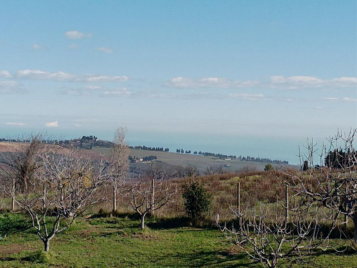Bed and Breakfast Belle Marche Civitanova Alta Exteriér fotografie